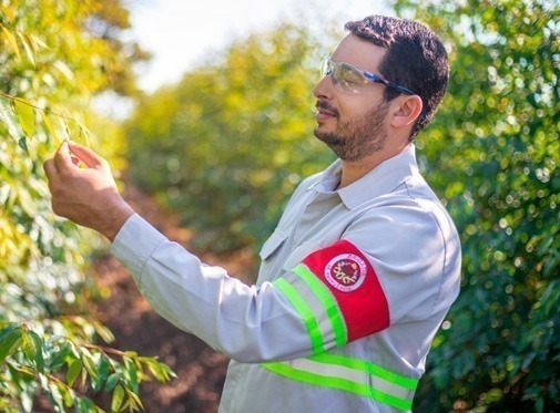 Profissional - Sustentabilidade