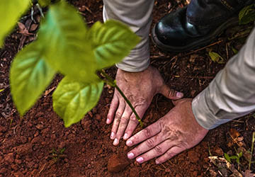 Responsabilidade Socioambiental