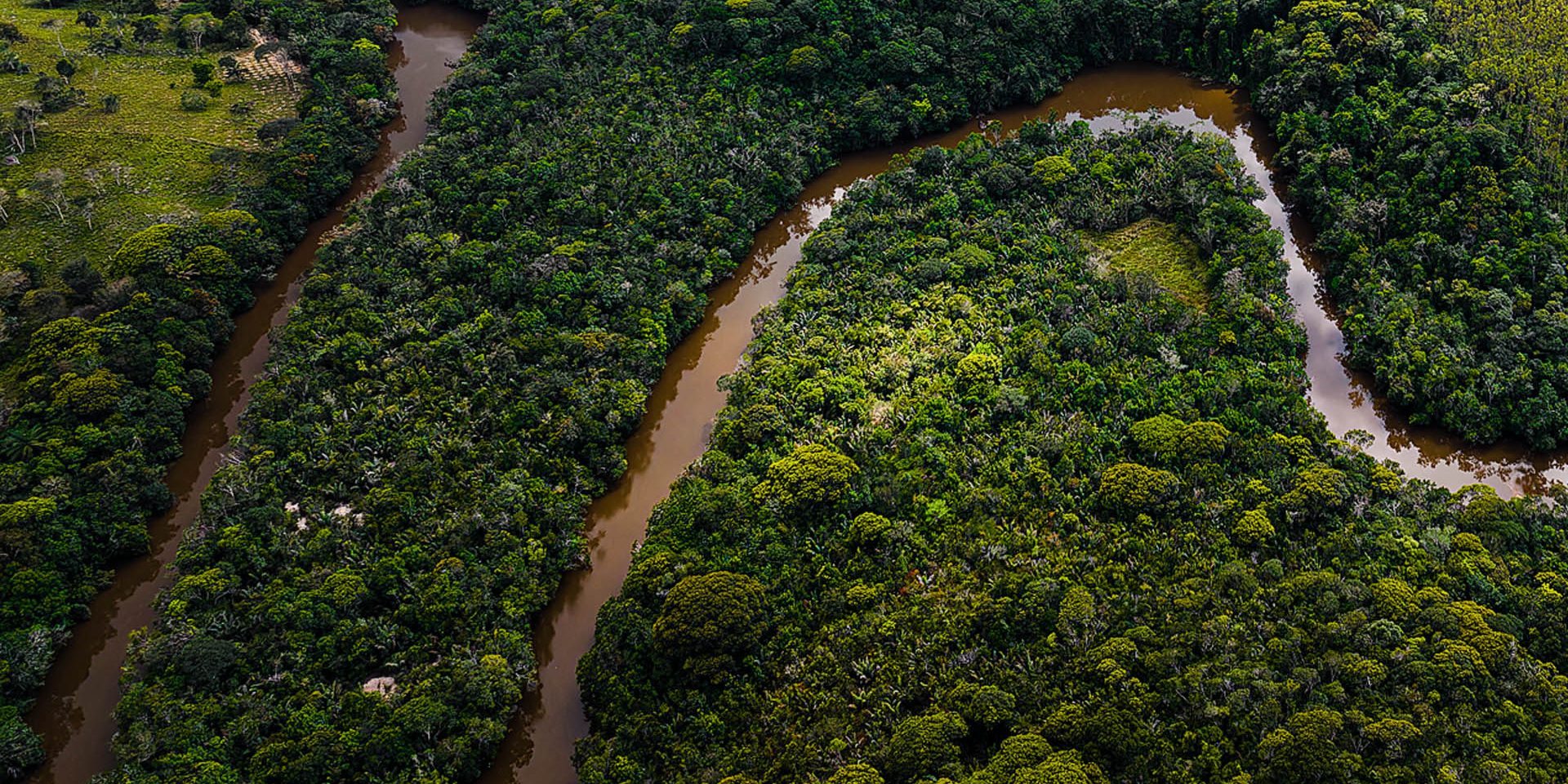 mosaico florestal com rio correndo no meio da mata