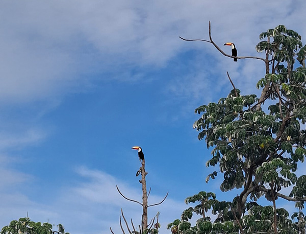 registro fauna Bicho à Vista Dia da Biodiversidade