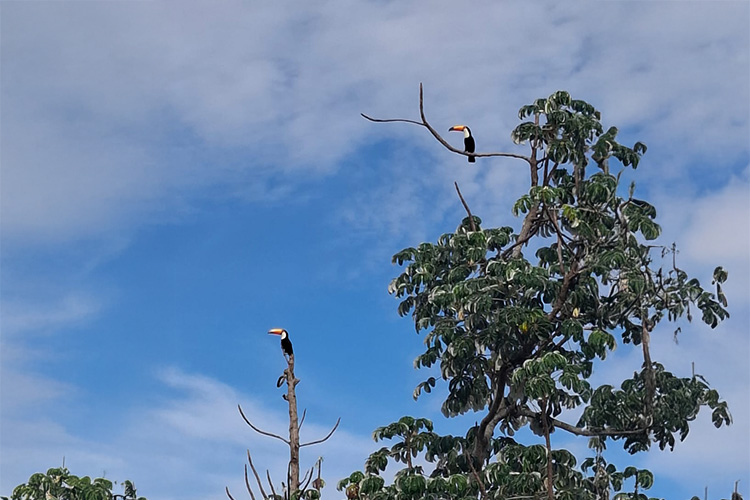 registro fauna Bicho à Vista Dia da Biodiversidade