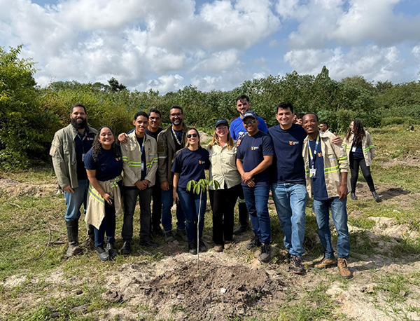ação voluntariado Bracell Bahia