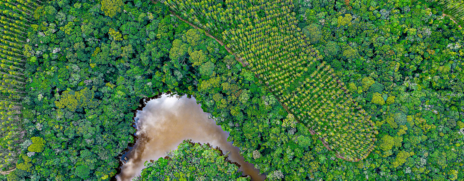 Bracell - Preservação Ambiental