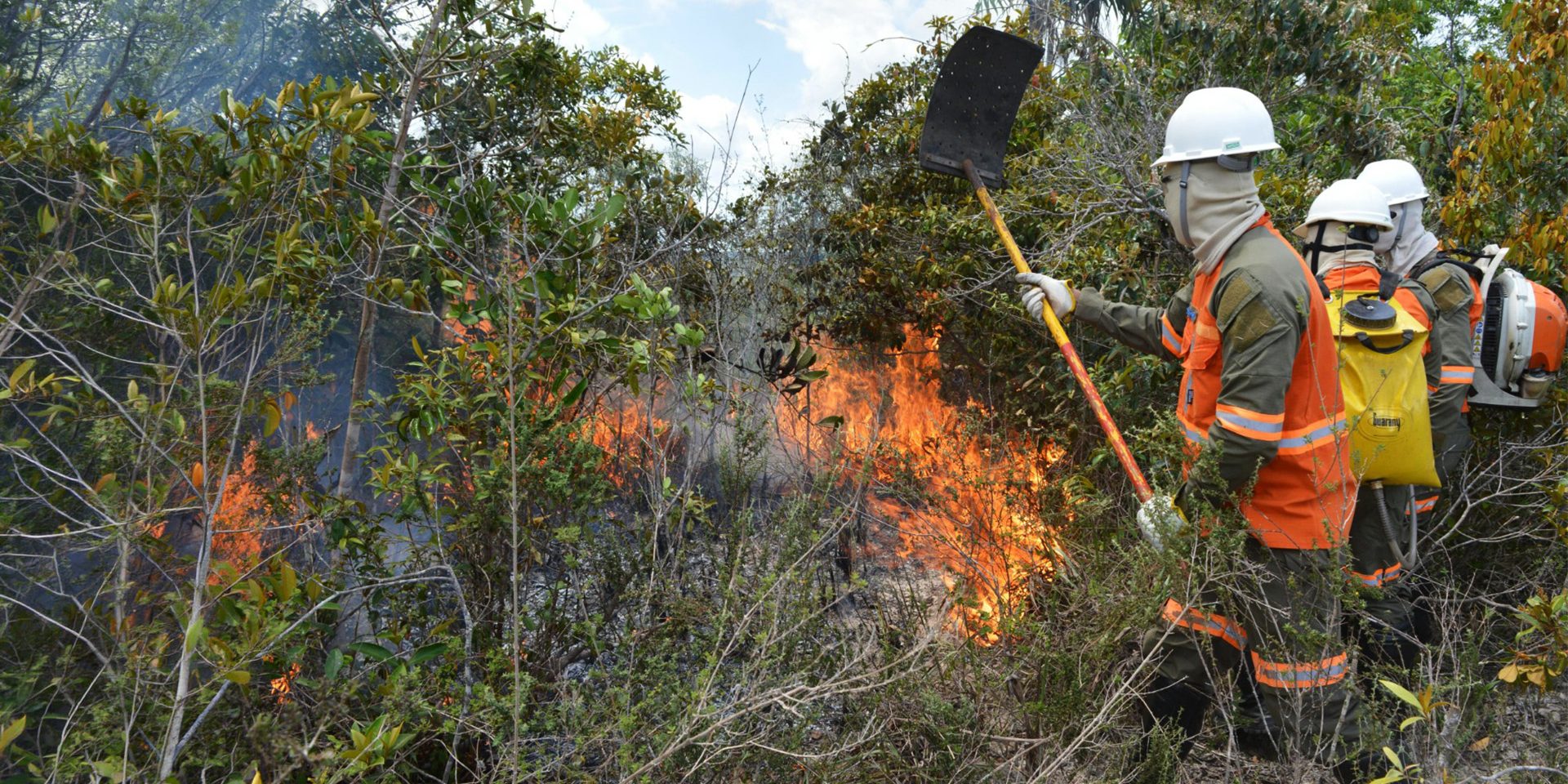 prevenção de incêndios florestais Bracell