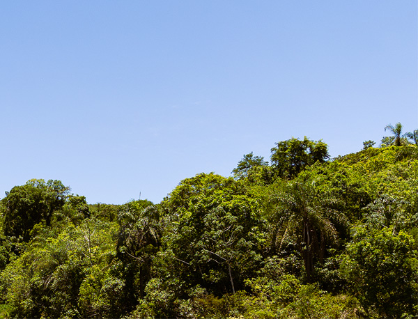 área de soltura de animais