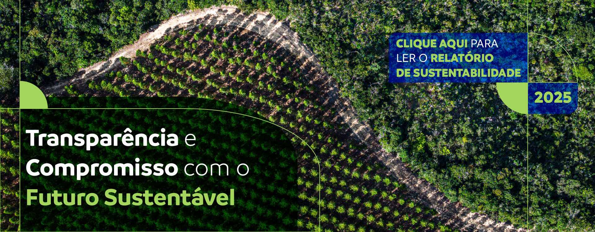 Banner - Relatório de Sustentabilidade Bracell 2025