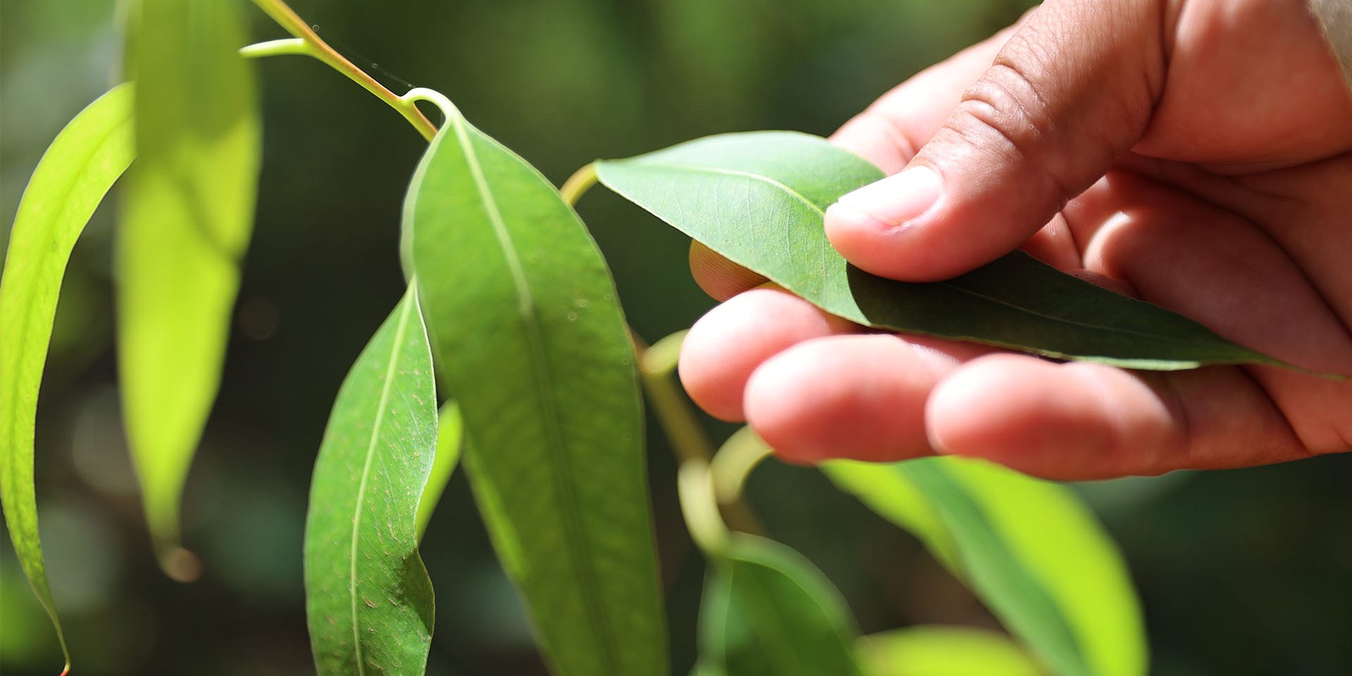 Sustainability Report