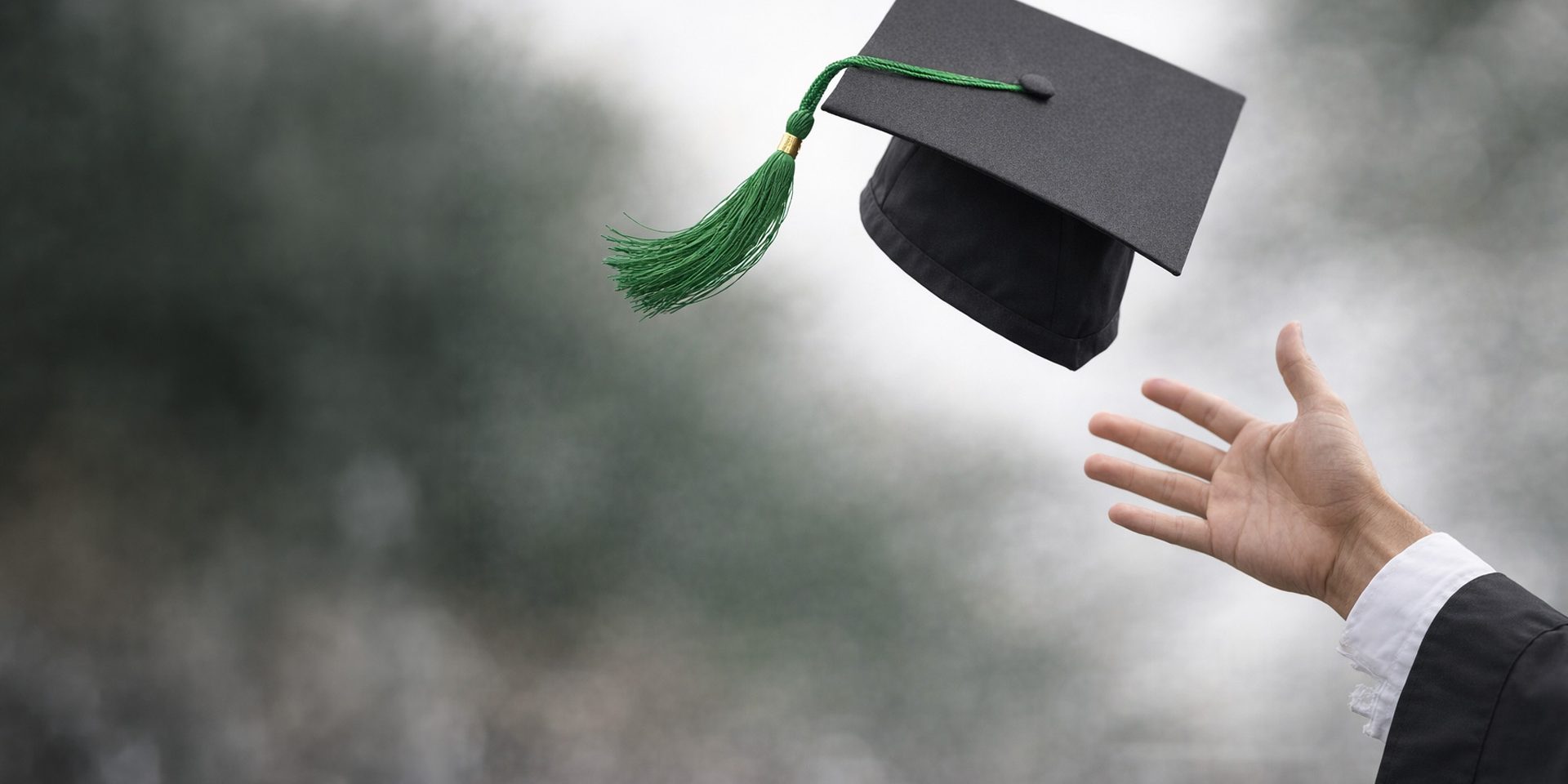 formatura técnico em florestas
