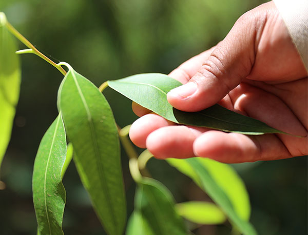 Sustainability Report