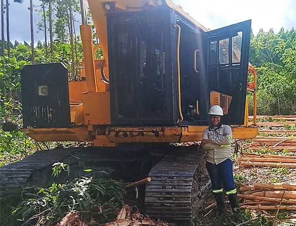curso gratuito operador(a) máquina florestal