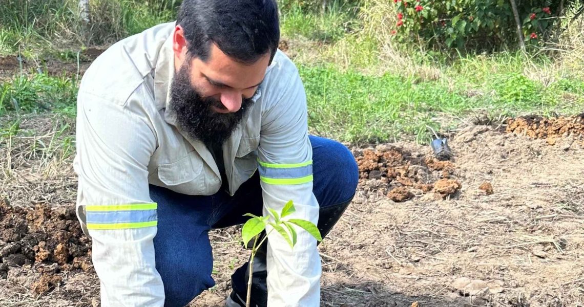 Pessoa realiza plantio de muda nativa em área de restauração ambiental.