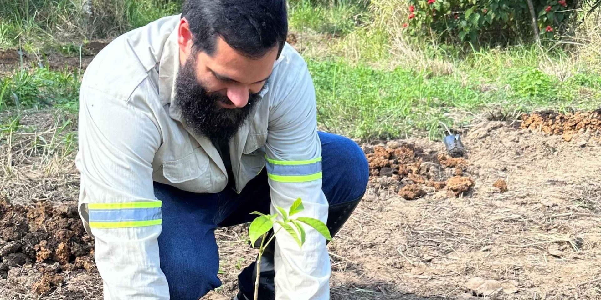 Pessoa realiza plantio de muda nativa em área de restauração ambiental.