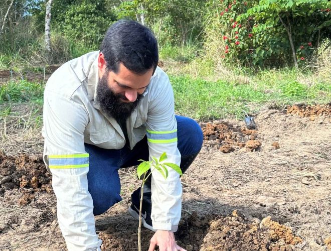 Pessoa realiza plantio de muda nativa em área de restauração ambiental.