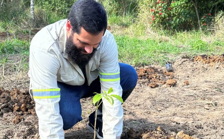 Pessoa realiza plantio de muda nativa em área de restauração ambiental.