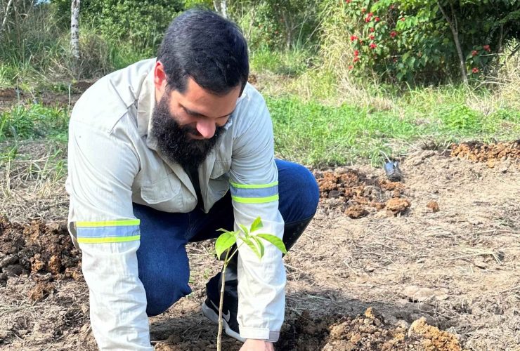 Pessoa realiza plantio de muda nativa em área de restauração ambiental.